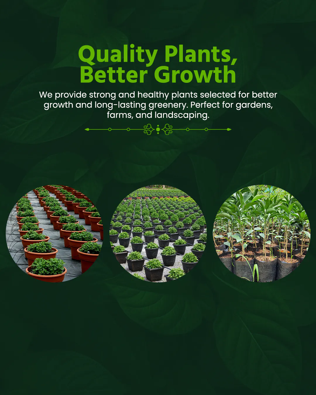 Agro Nursery