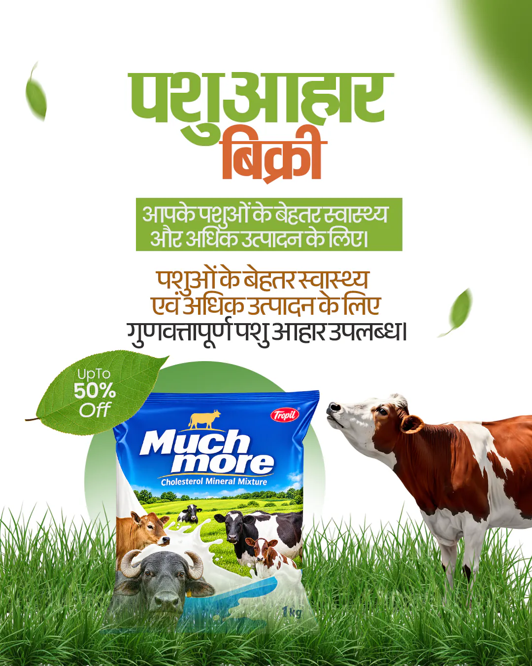Animal Feed Sale