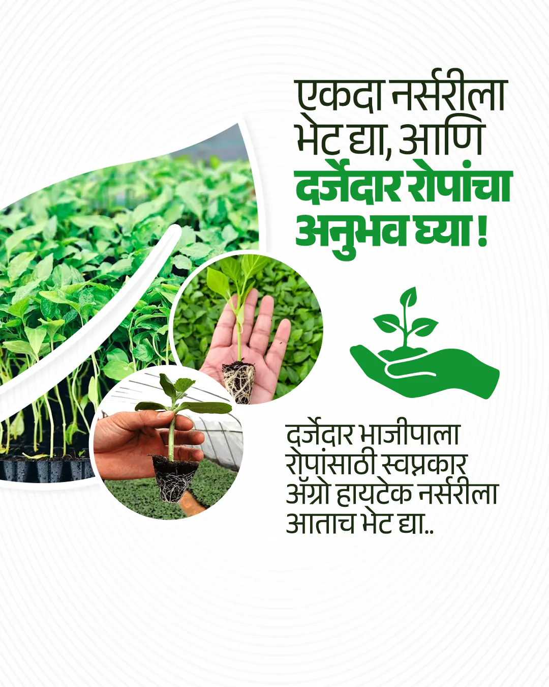 Agro Nursery