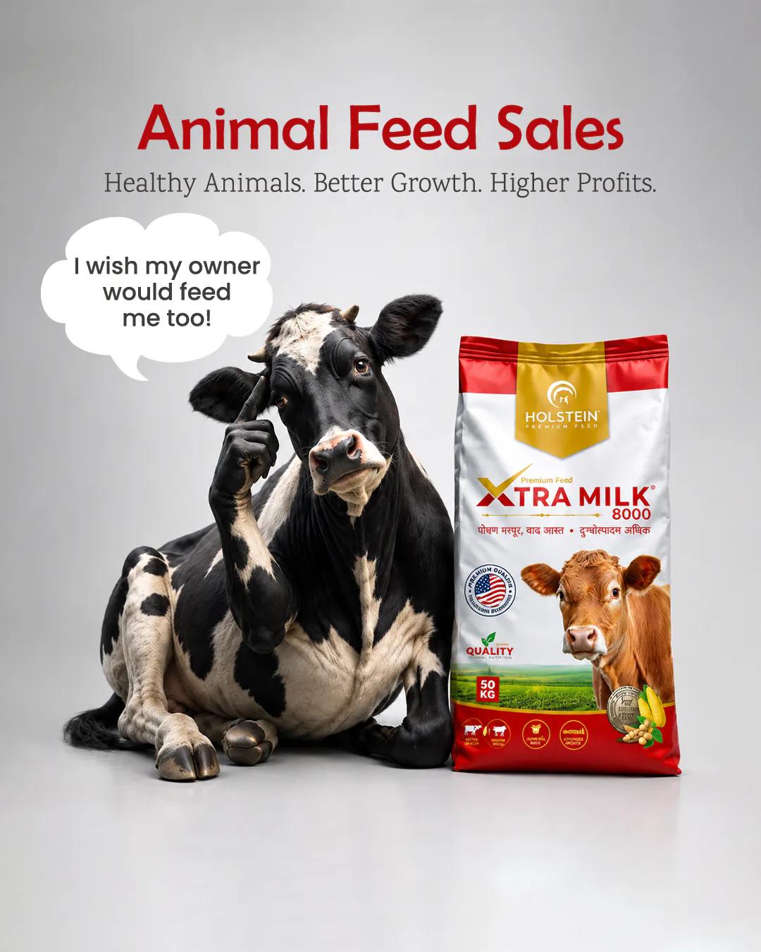Animal Feed Sale