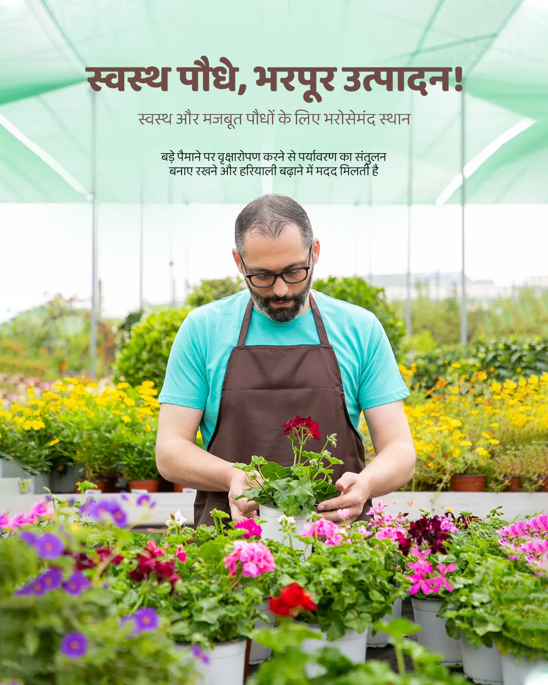 Agro Nursery