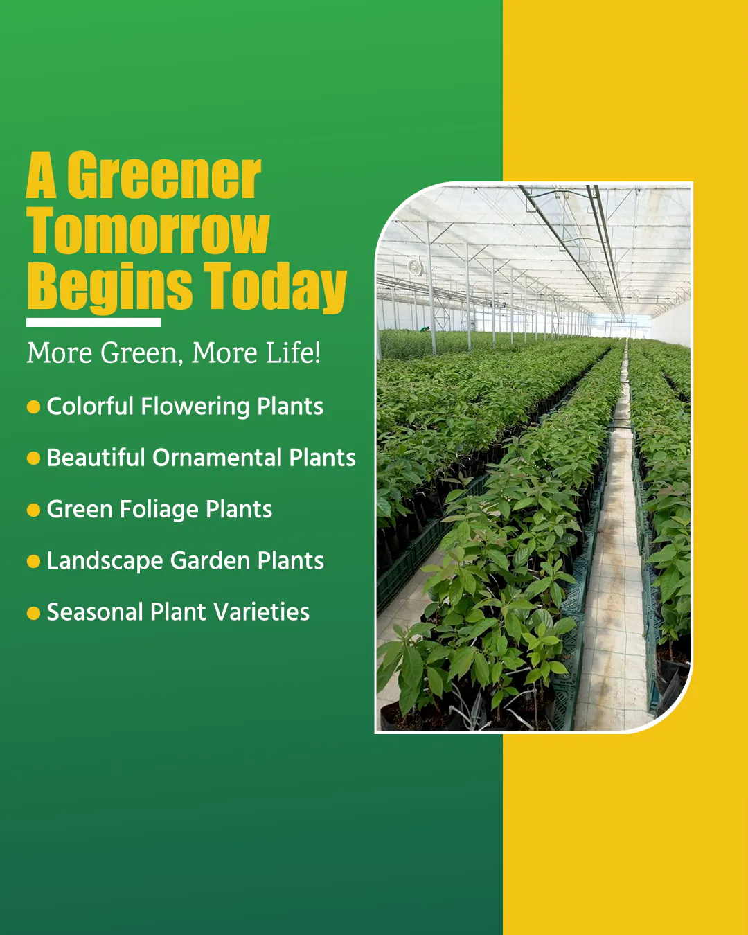 Agro Nursery