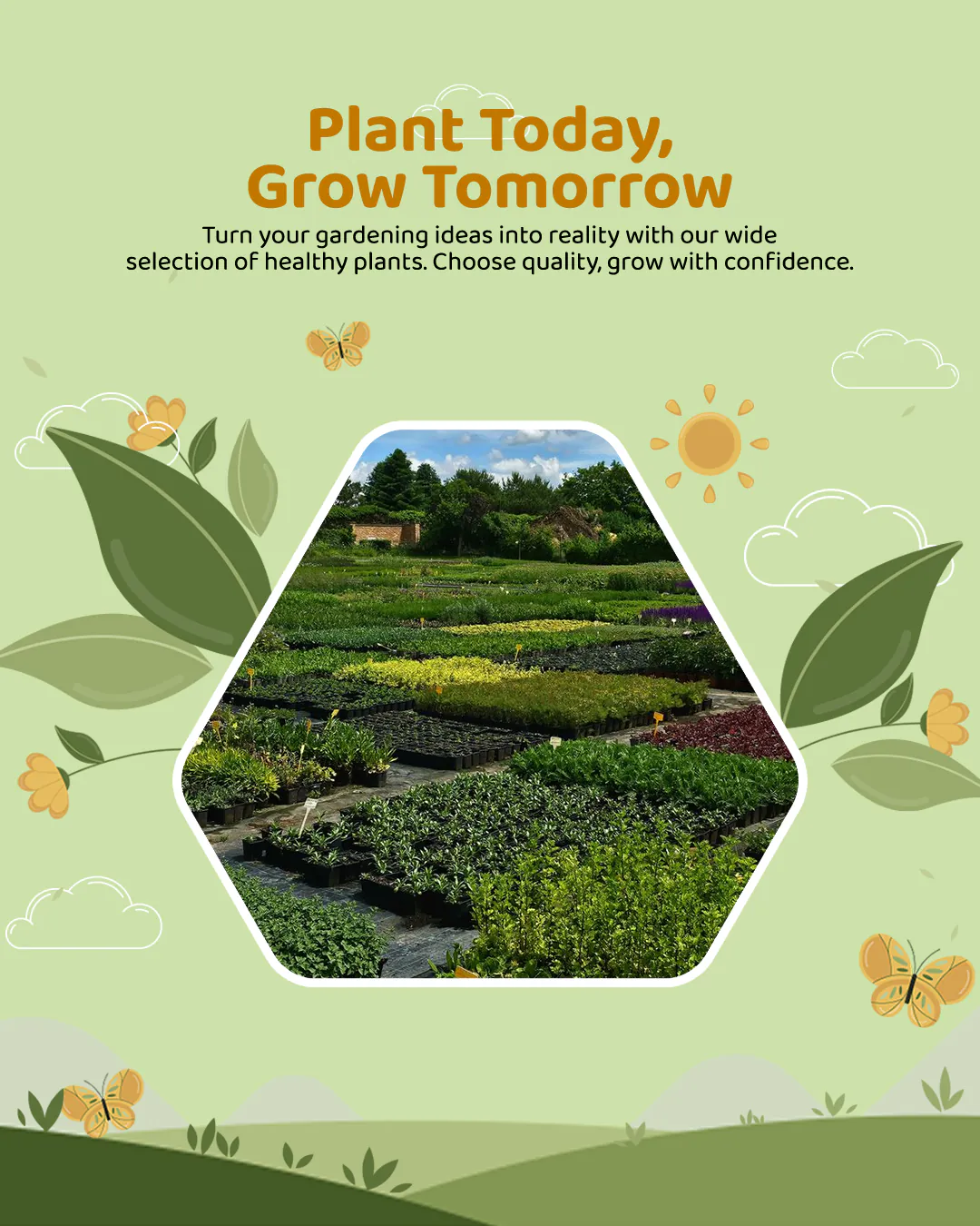 Agro Nursery