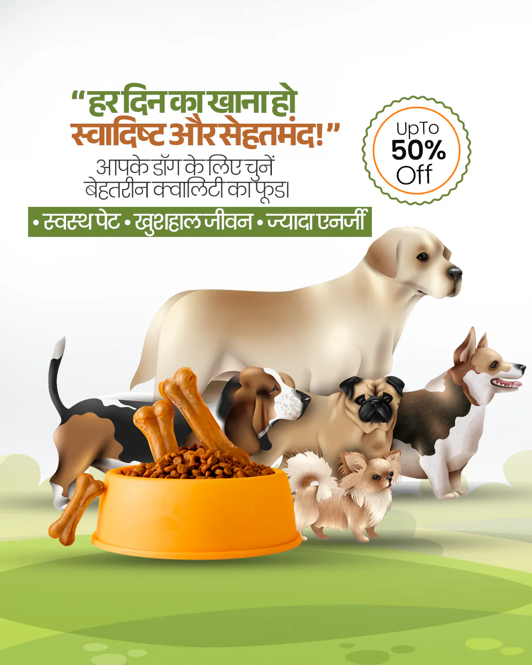 Animal Feed Sale