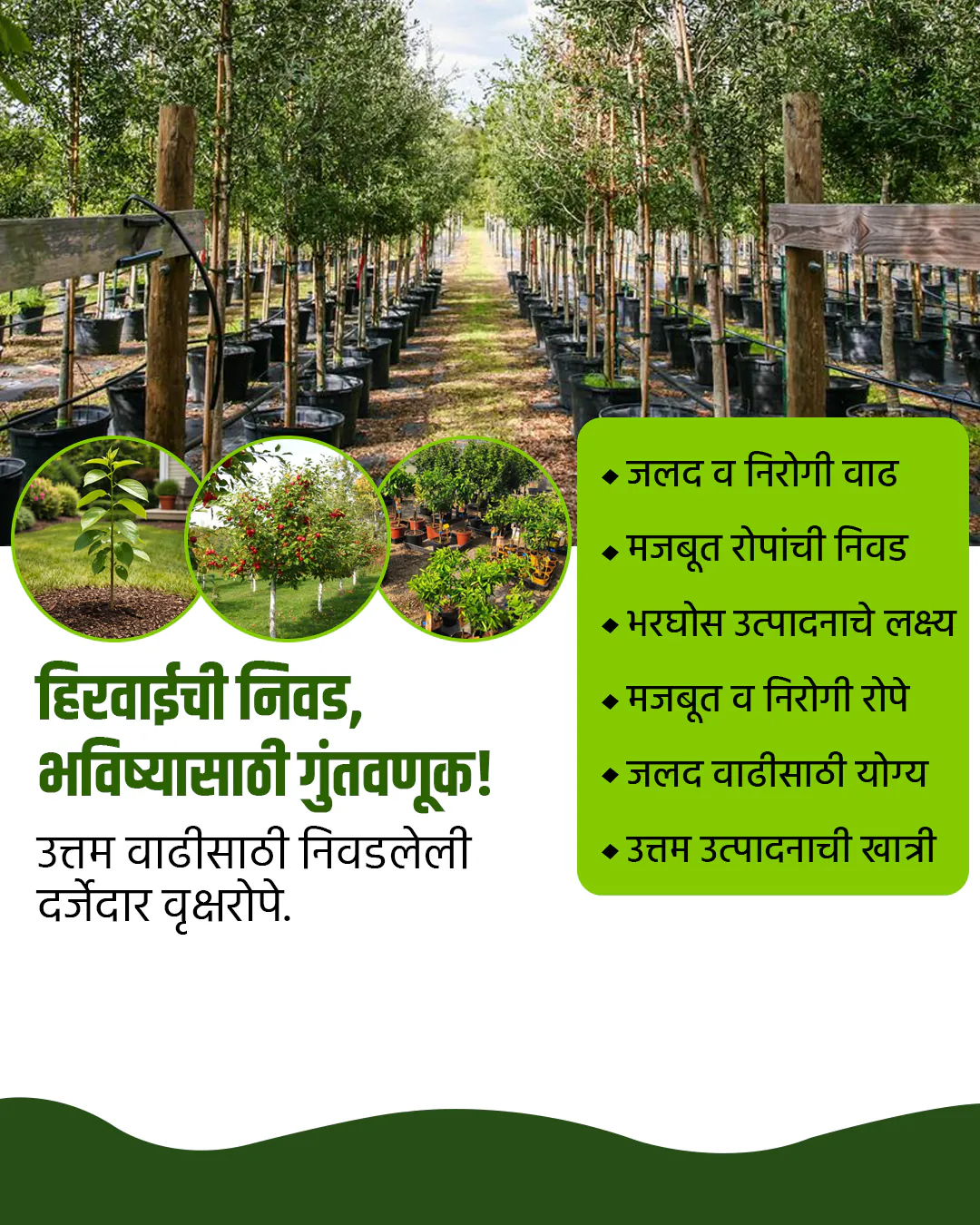 Agro Nursery