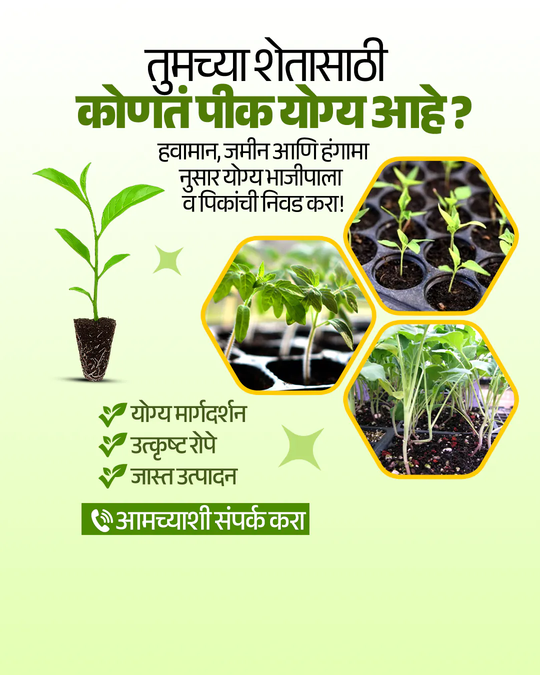 Agro Nursery