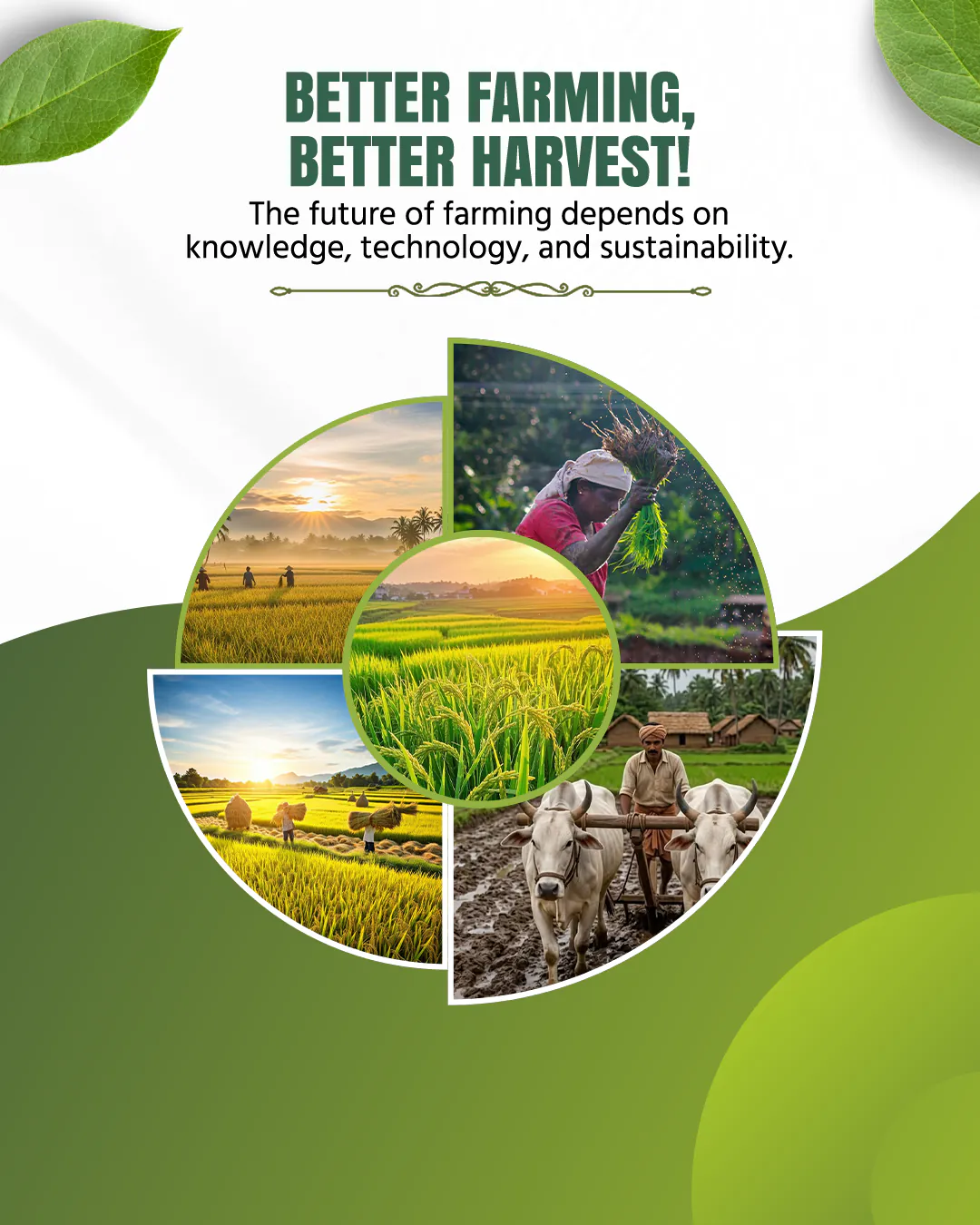Agriculture