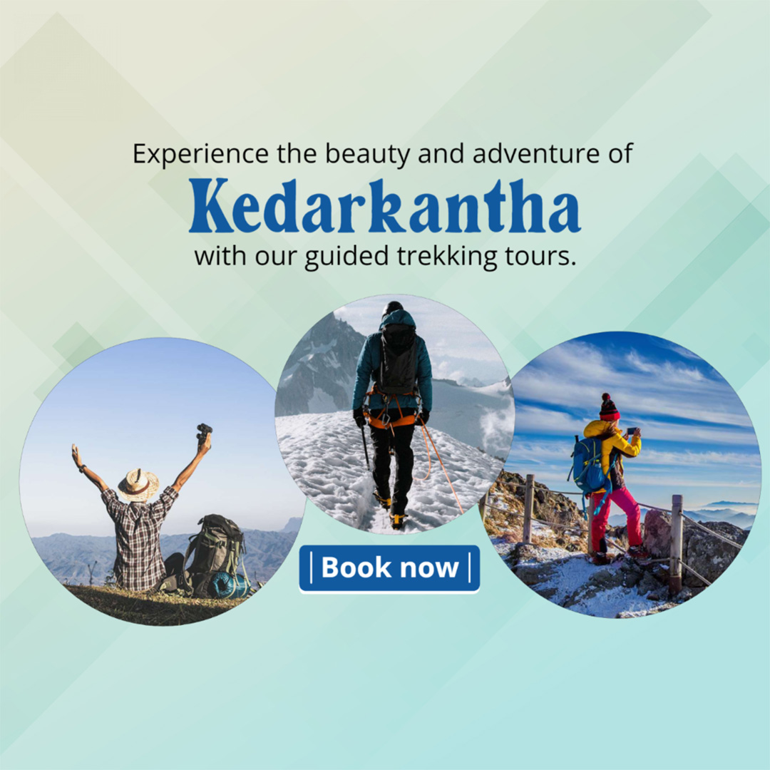 Tours and Travels