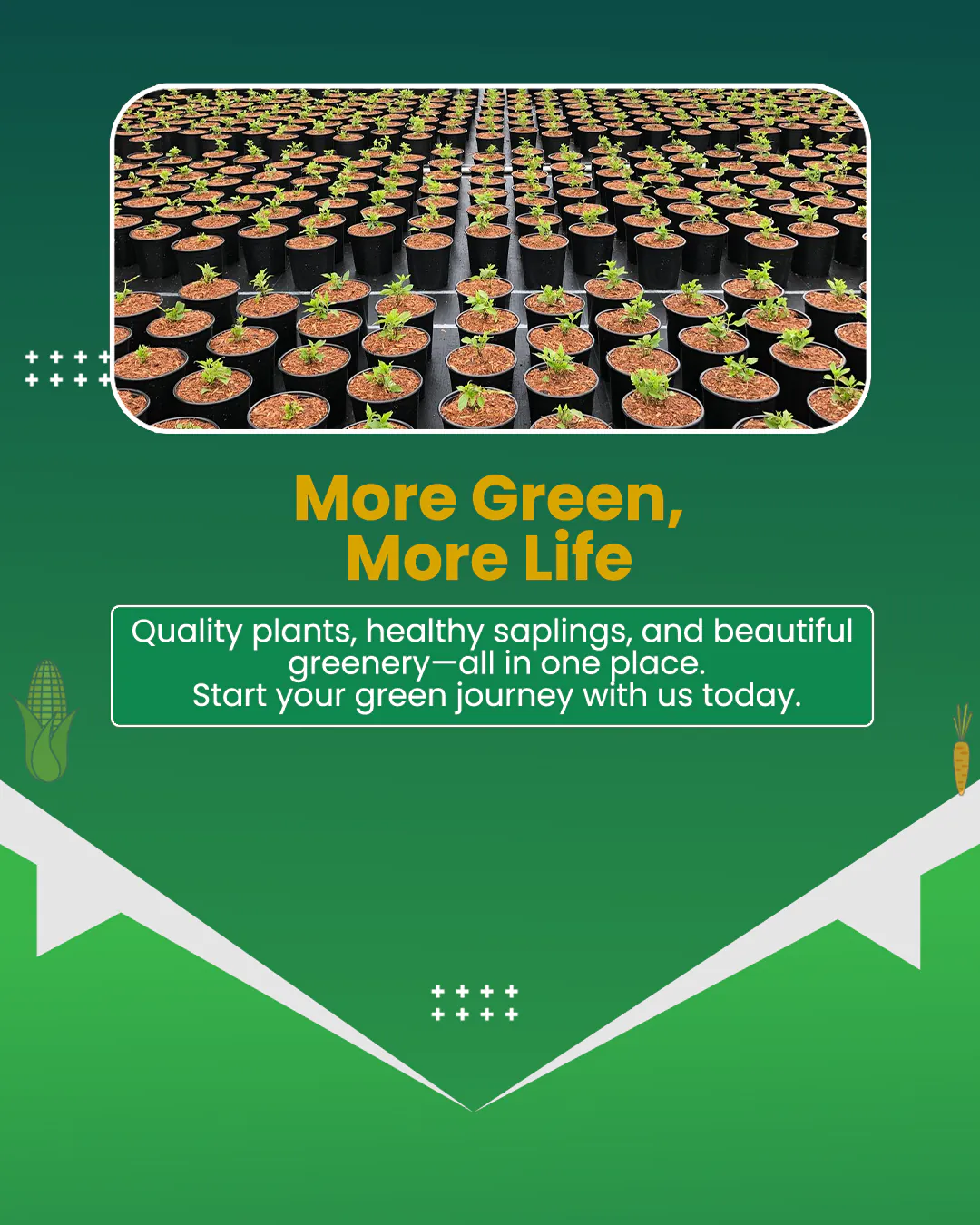 Agro Nursery