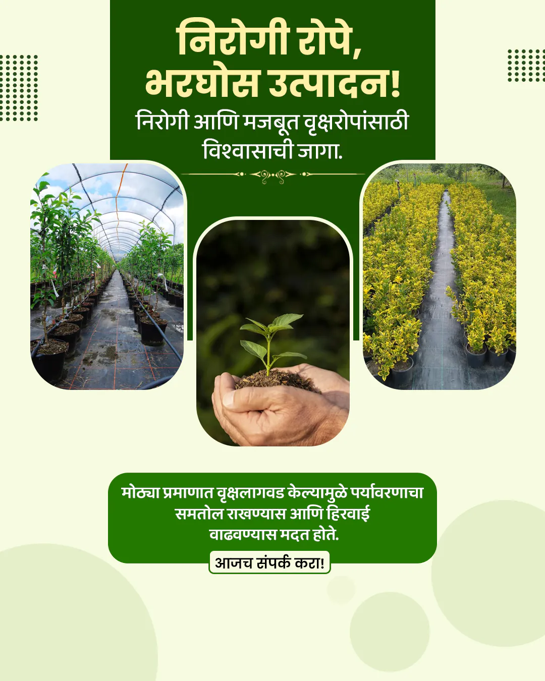 Agro Nursery