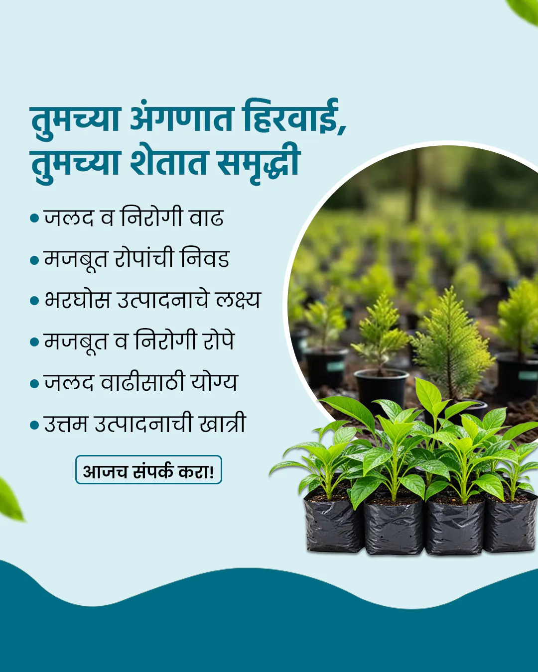 Agro Nursery