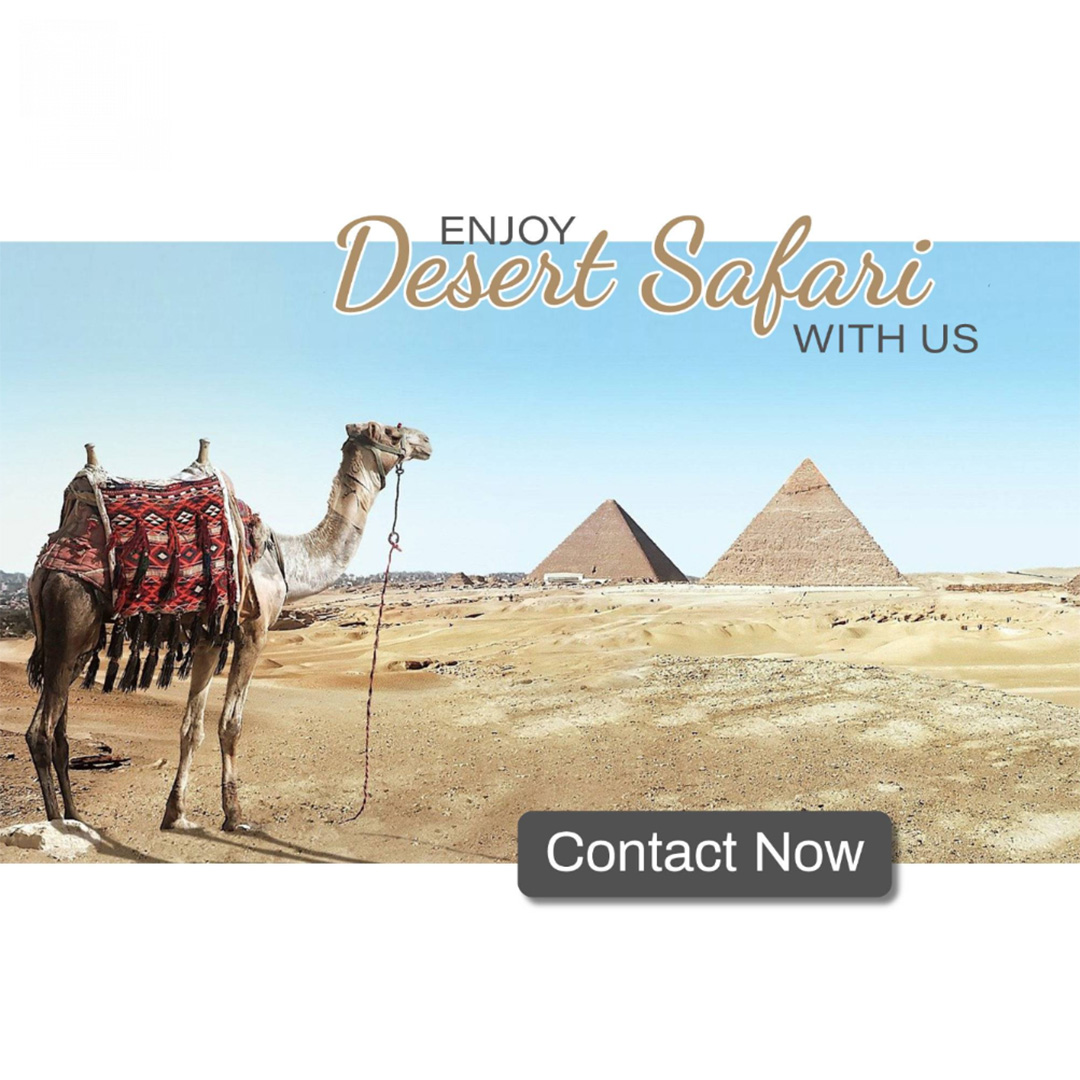 Tours and Travels