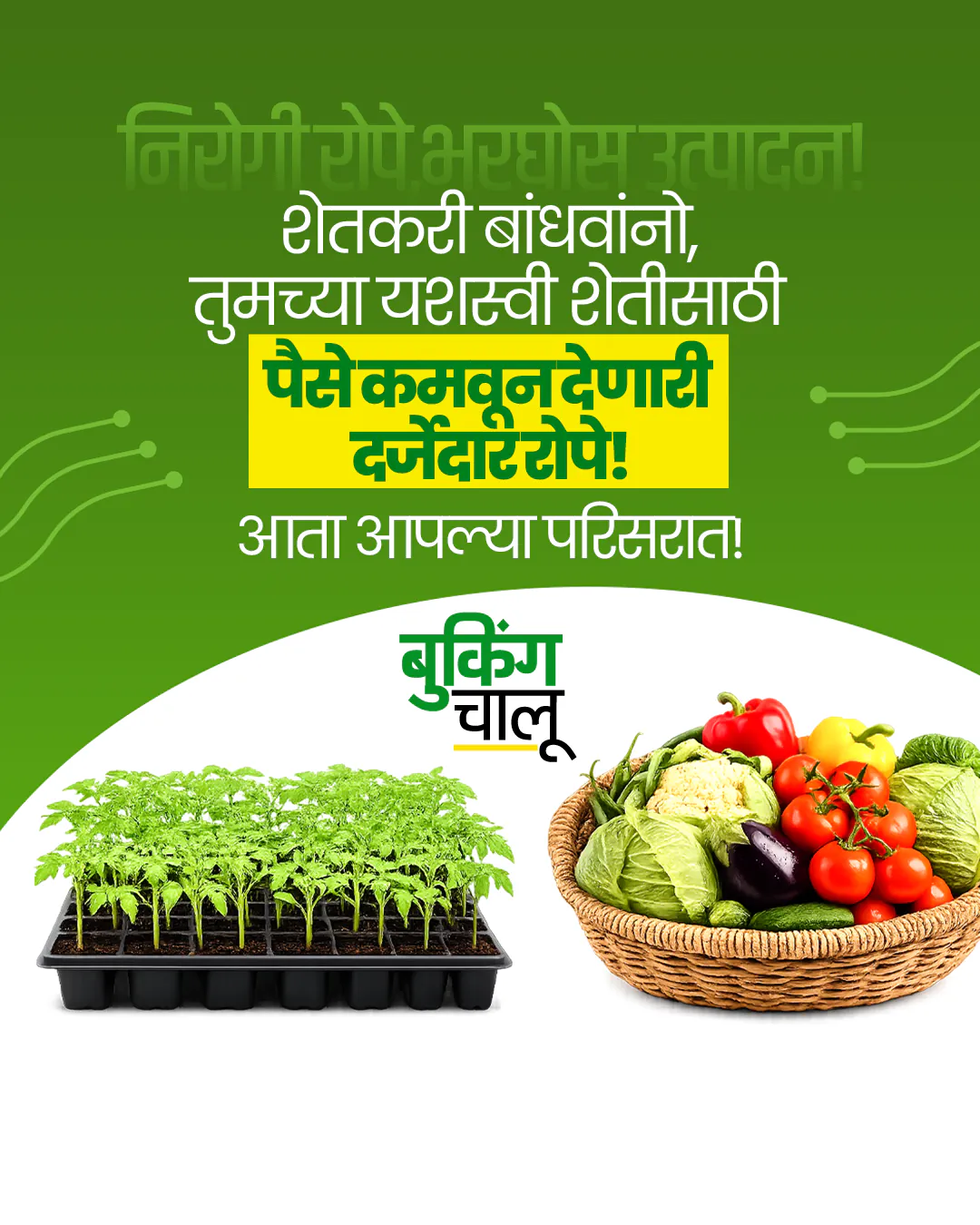 Agro Nursery
