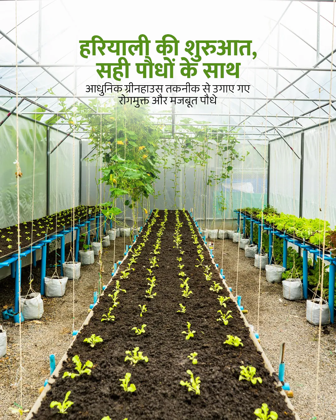 Agro Nursery