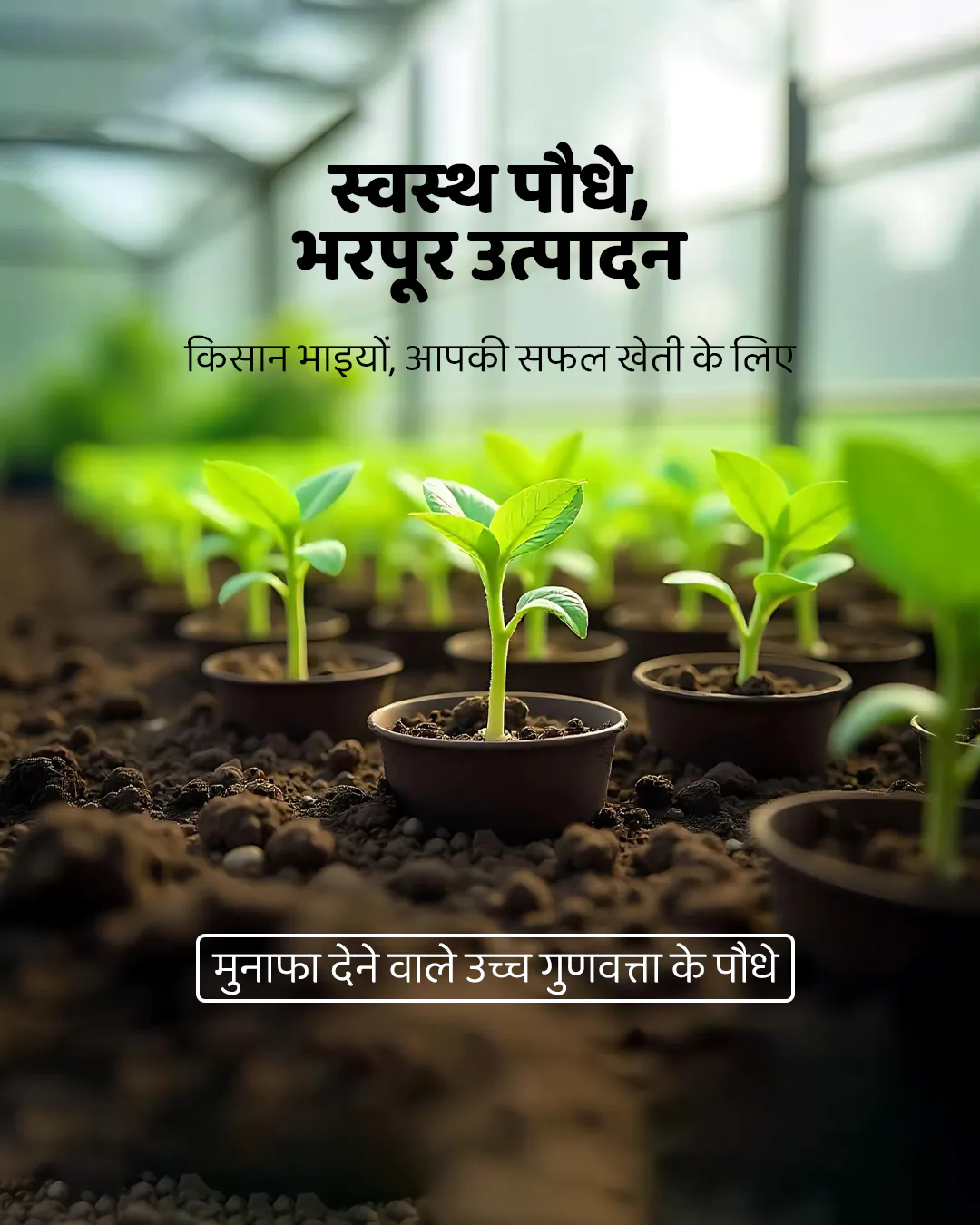 Agro Nursery