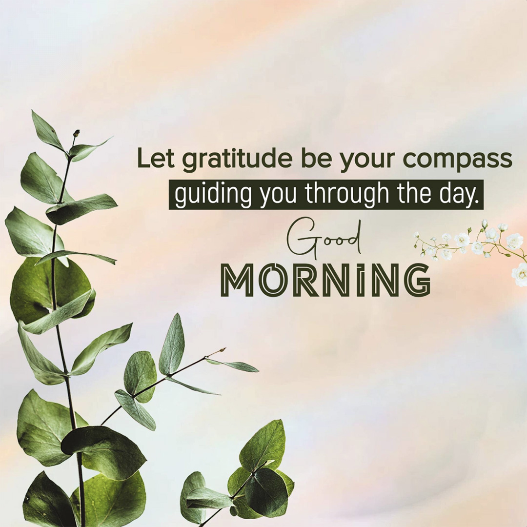 Good Morning