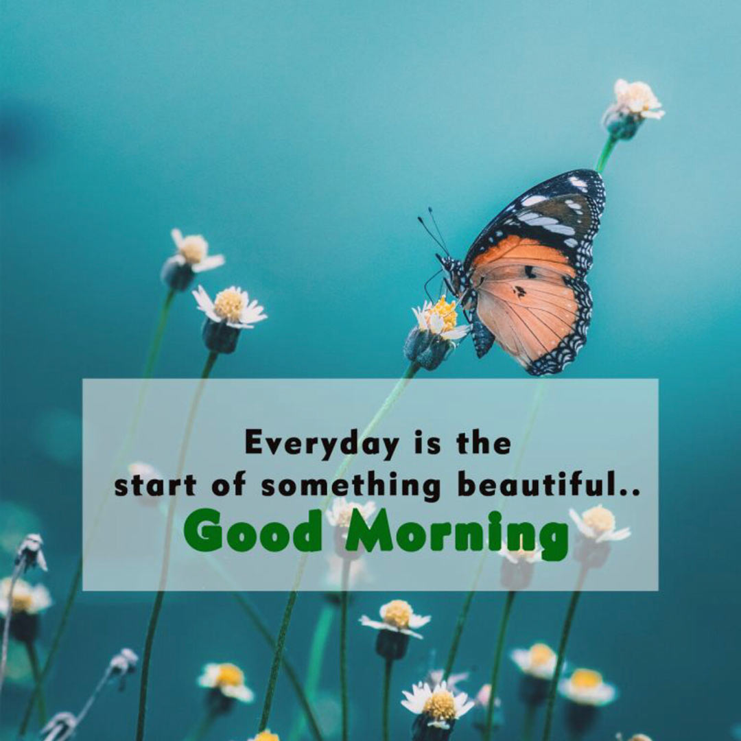 Good Morning