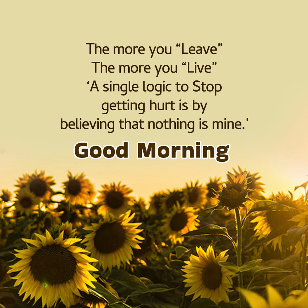 Good Morning