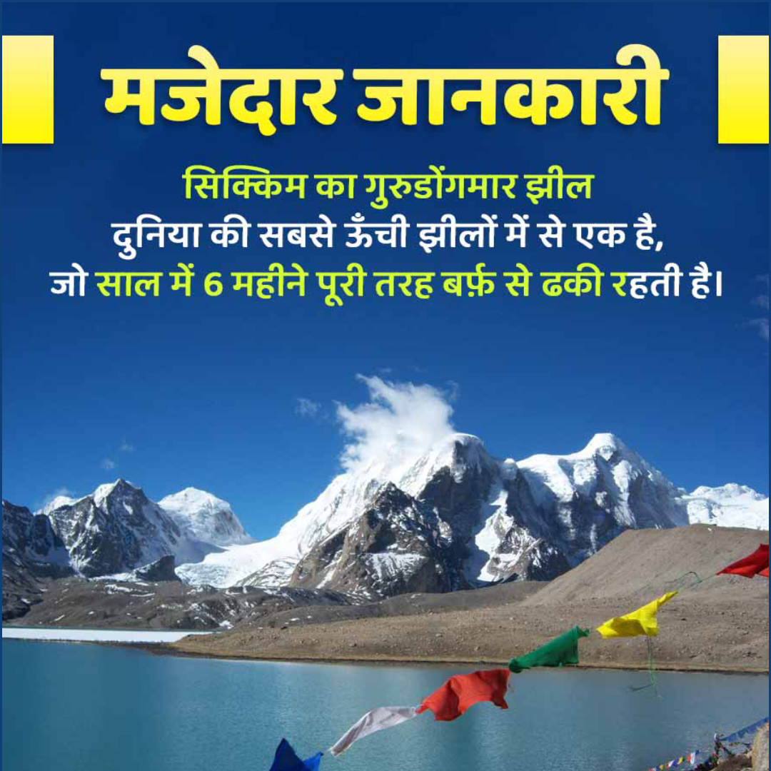 Amazing Fact