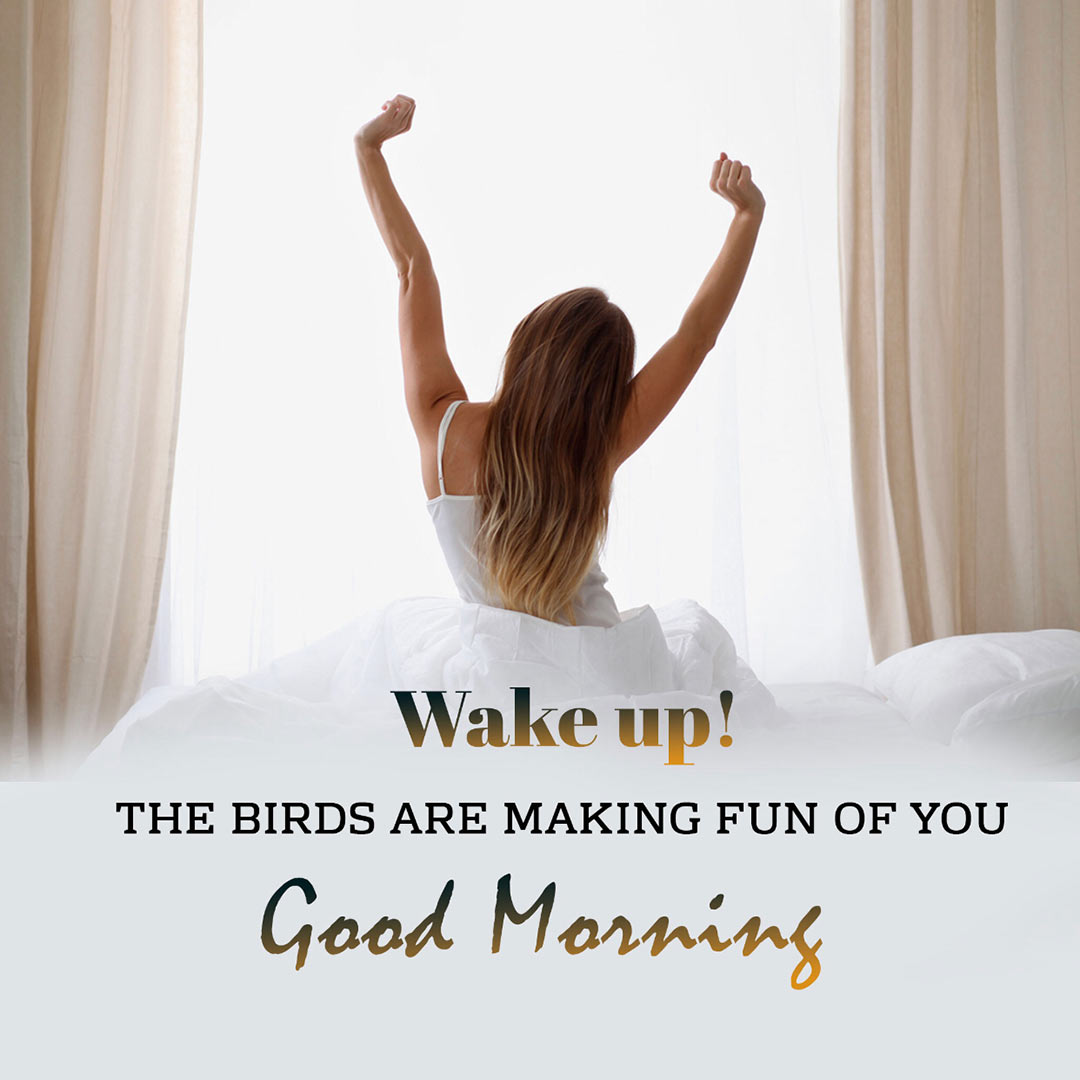 Good Morning