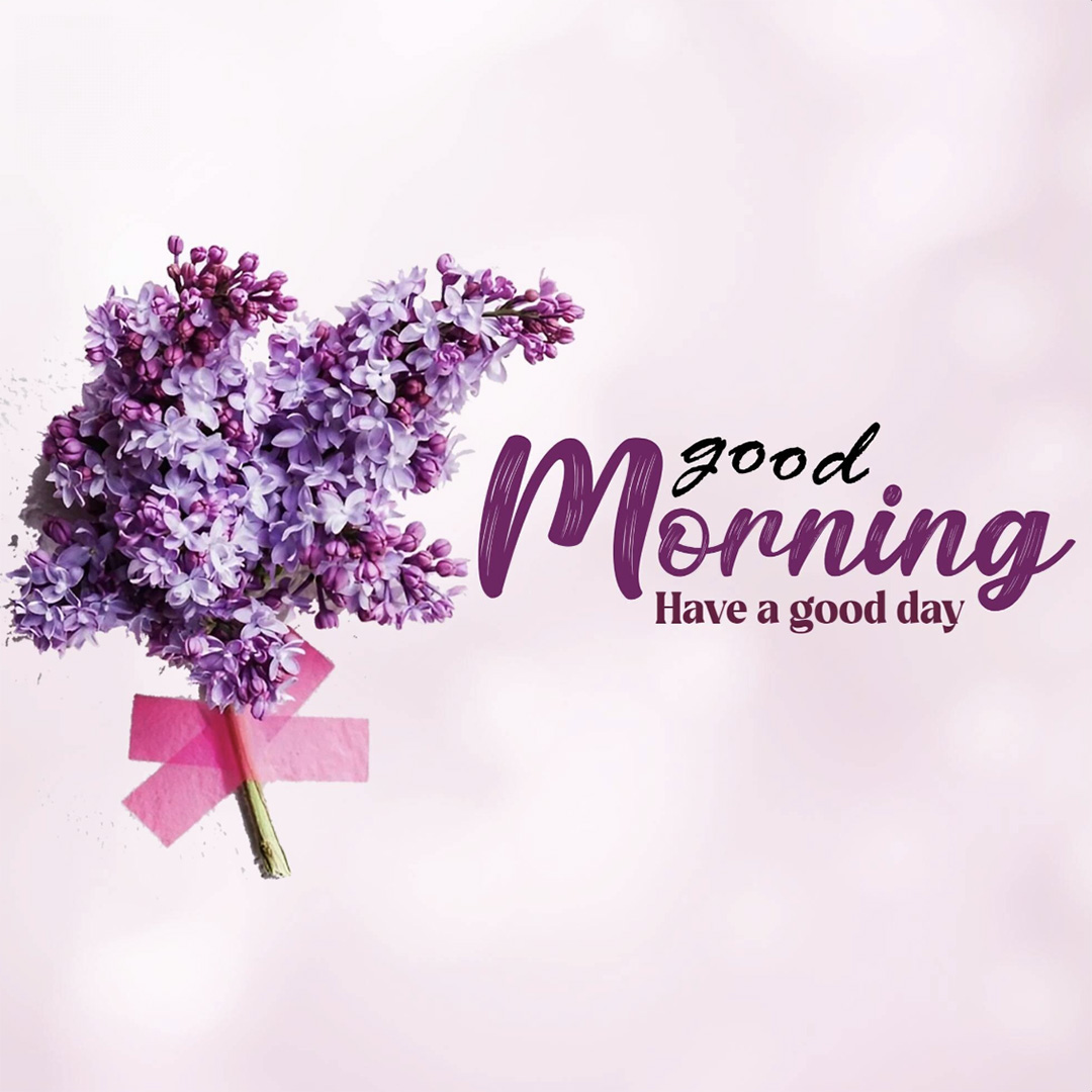 Good Morning