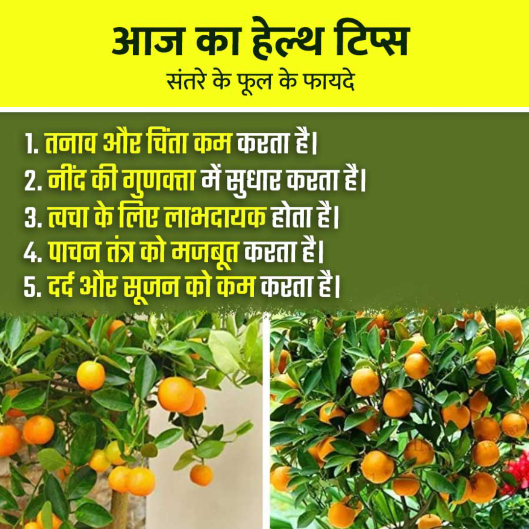 Health Tips