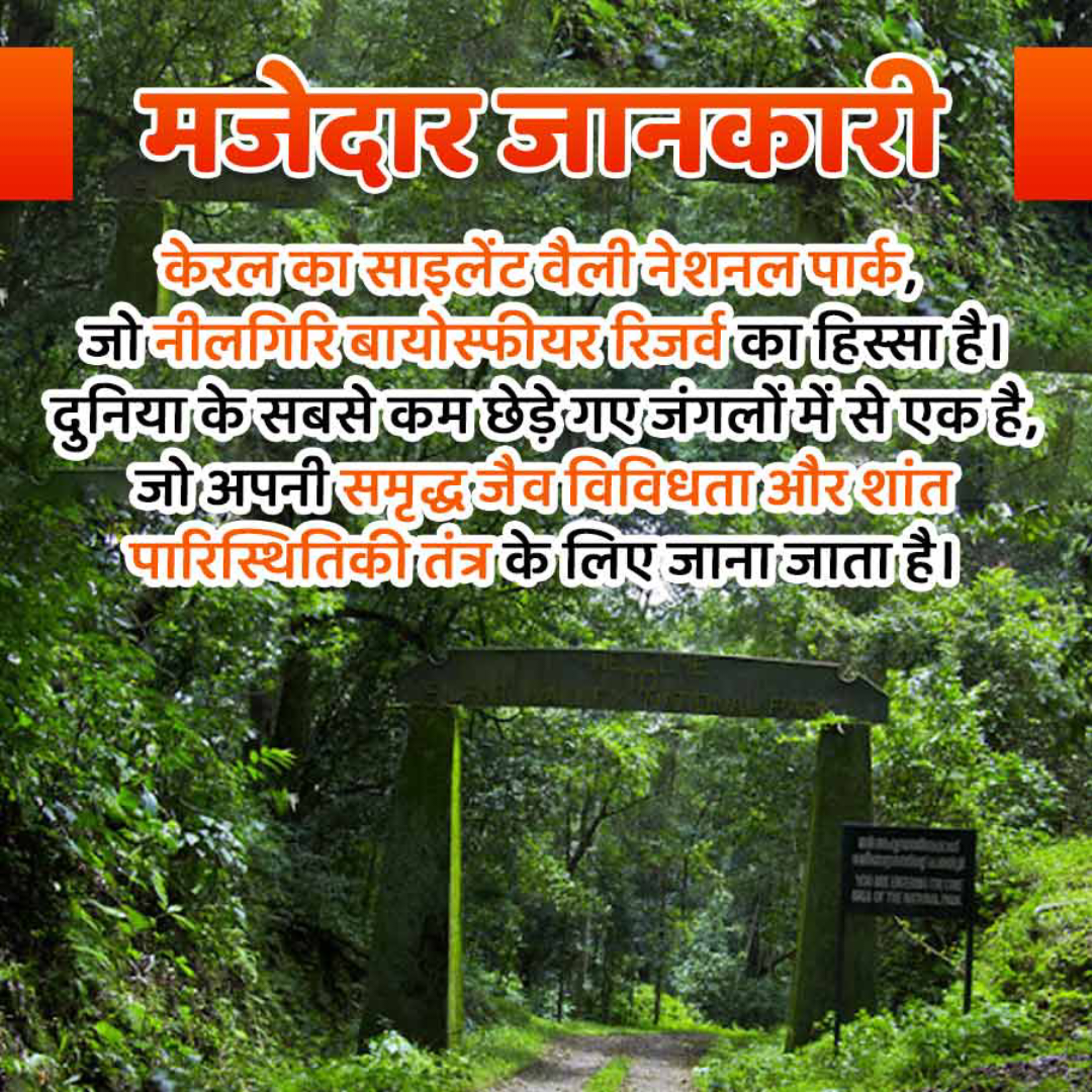 Amazing Fact