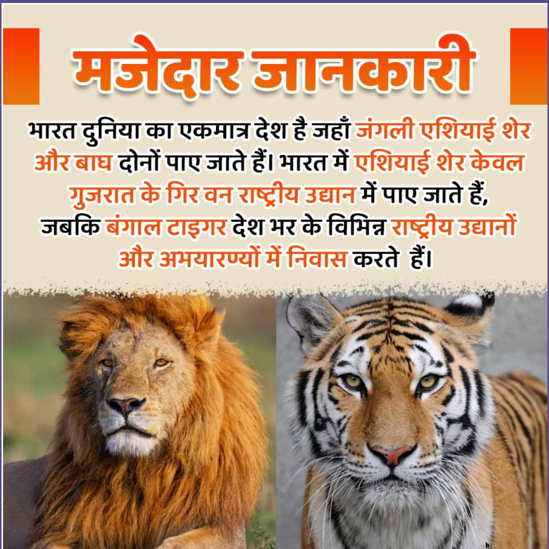 Amazing Fact