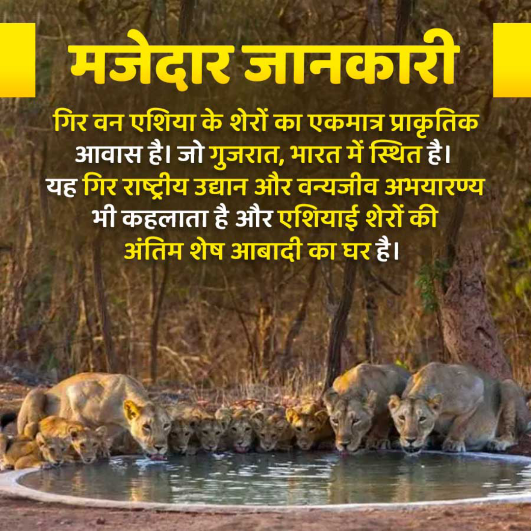 Amazing Fact