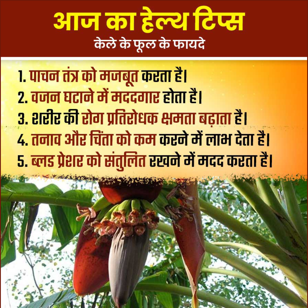 Health Tips