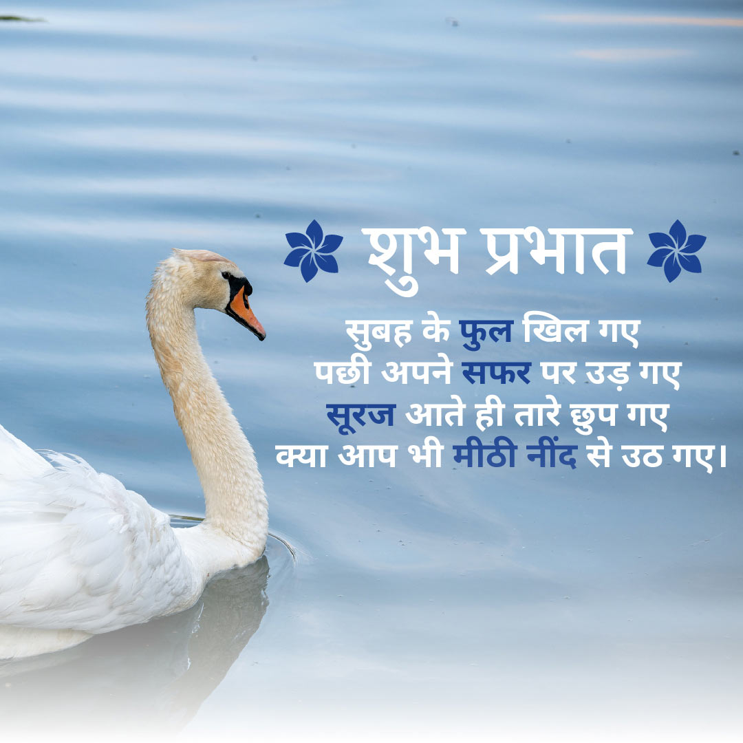 Good Morning