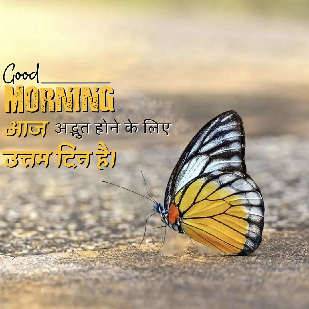 Good Morning