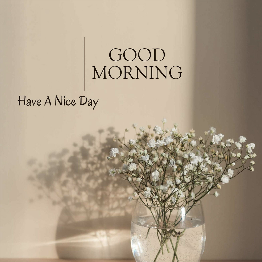 Good Morning