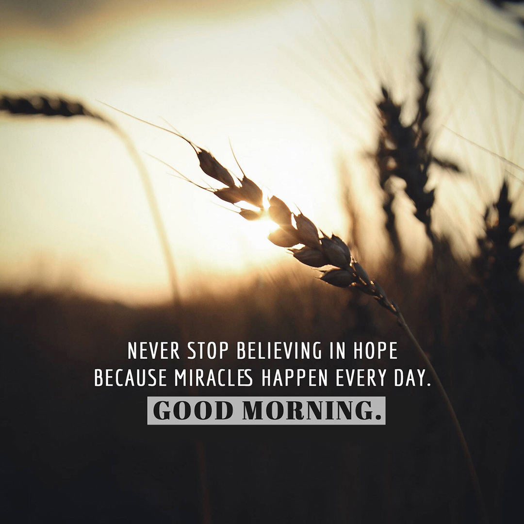 Good Morning
