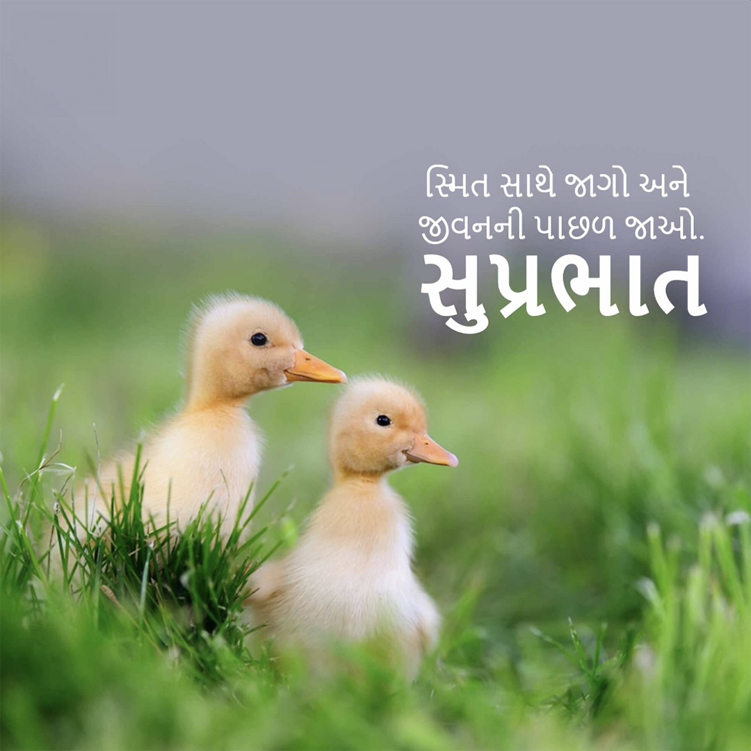 Good Morning