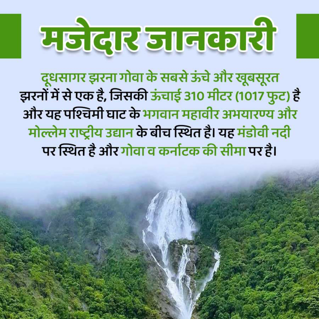 Amazing Fact