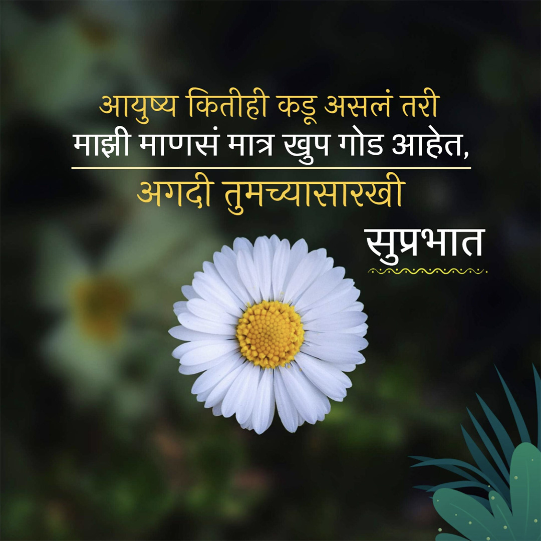 Good Morning