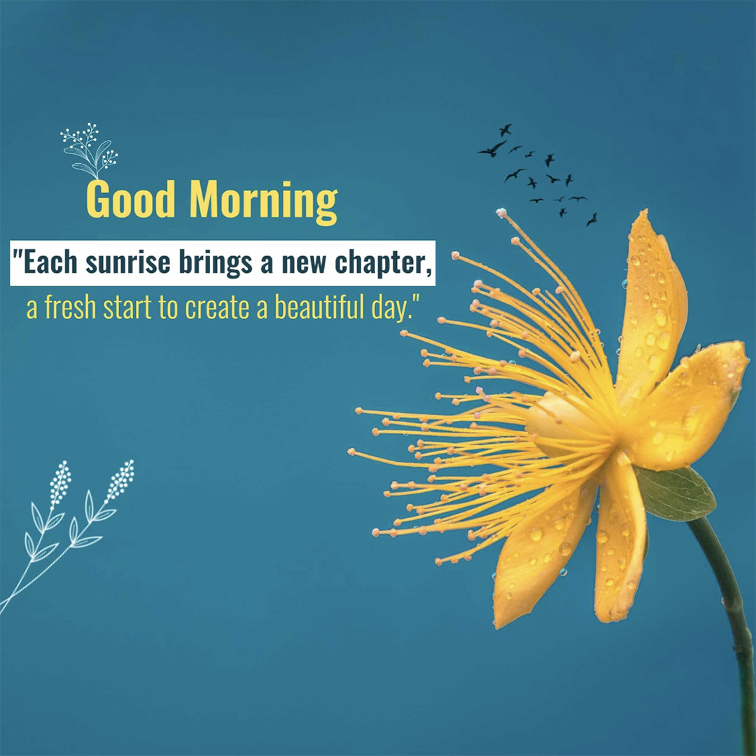 Good Morning