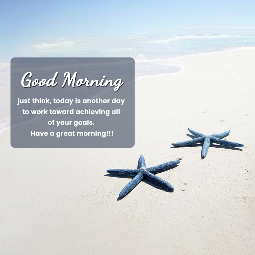 Good Morning