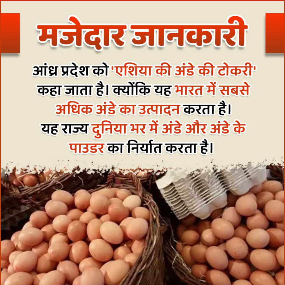 Amazing Fact