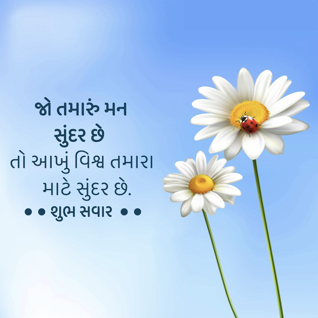 Good Morning