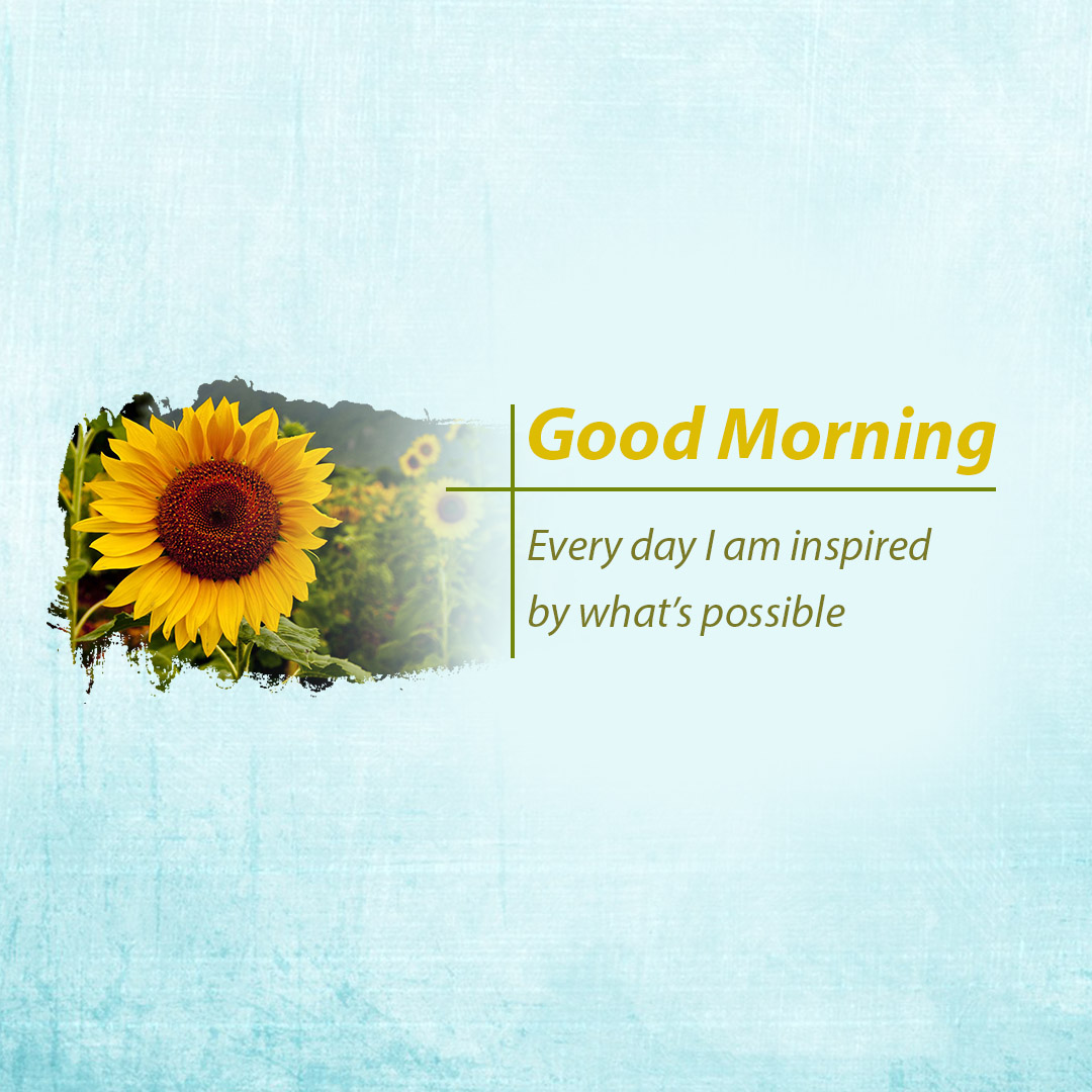 Good Morning