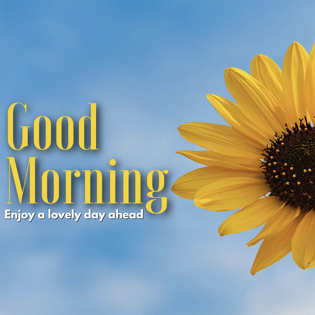 Good Morning