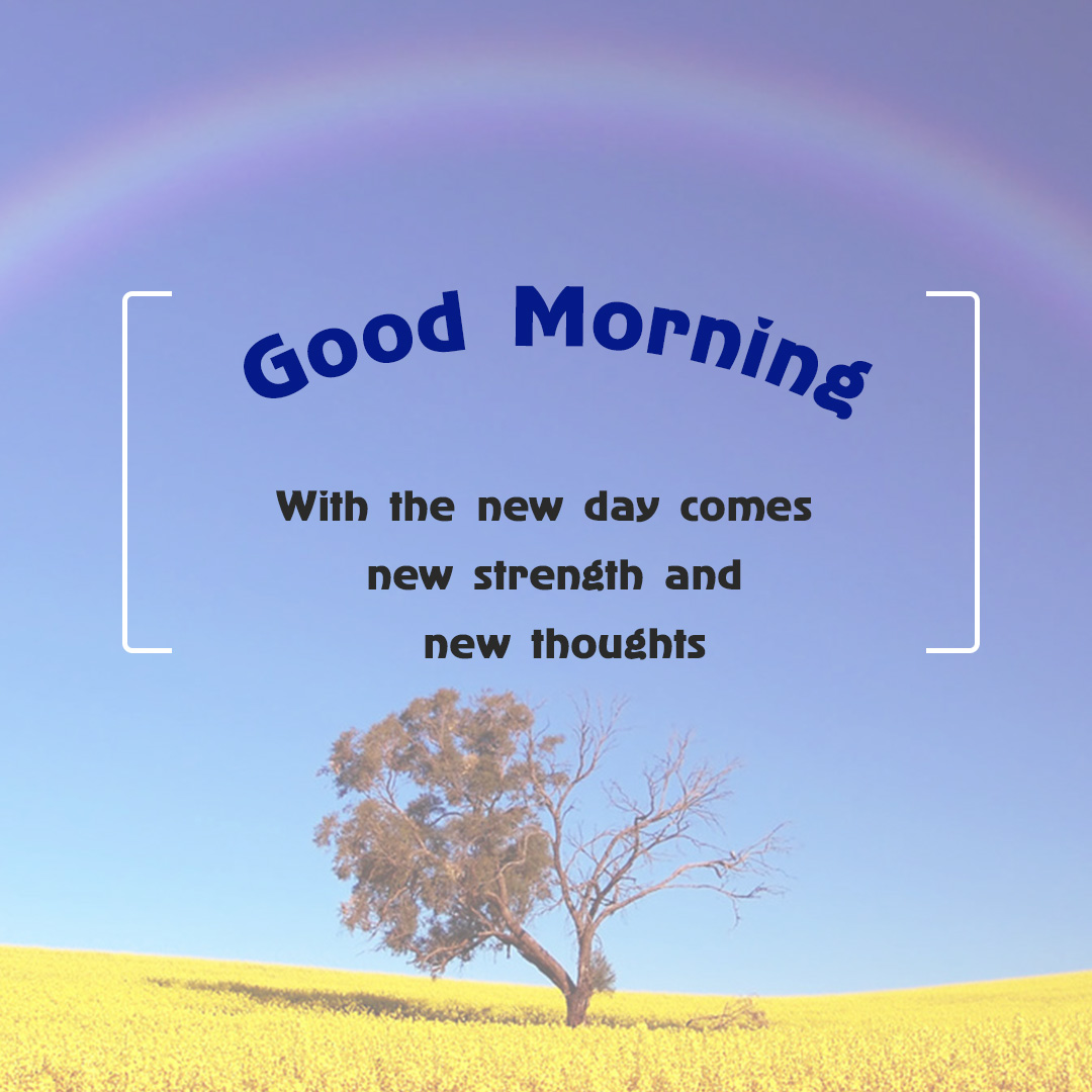Good Morning