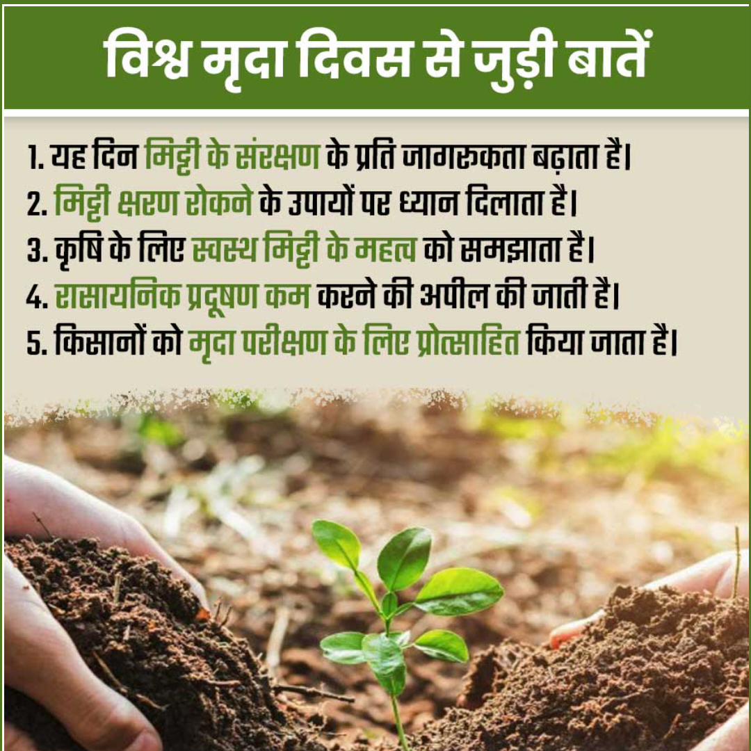 Amazing Fact