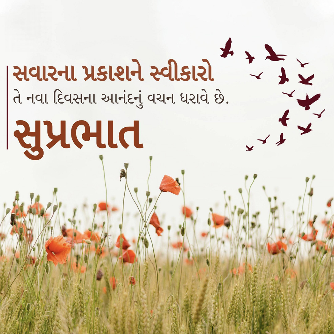 Good Morning