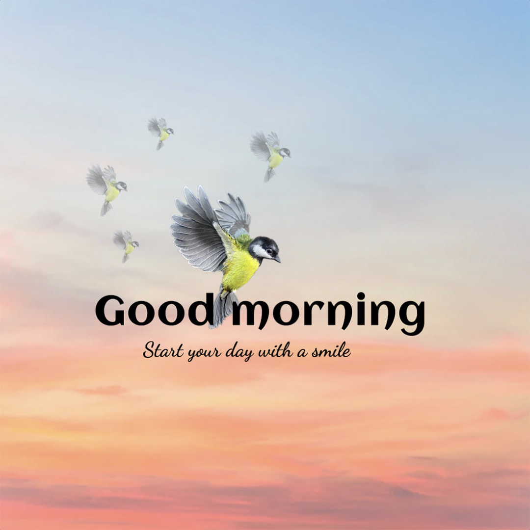 Good Morning