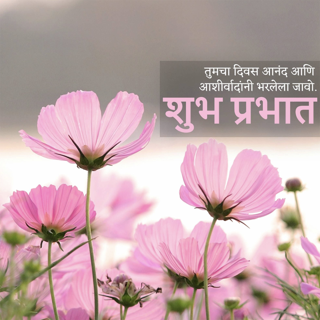 Good Morning