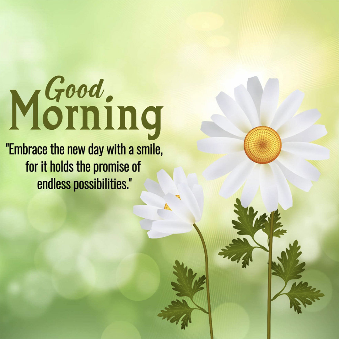Good Morning