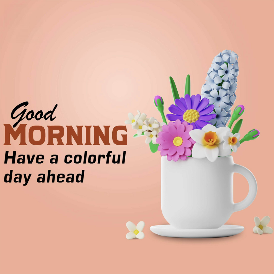 Good Morning